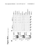 METHOD FOR THE DETECTION OF INTERFERON-ASSOCIATED ANGIOSTATIC TUMORSTAGES IN COLORECTAL CARCINOMA diagram and image