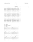 METHOD FOR THE DETECTION OF INTERFERON-ASSOCIATED ANGIOSTATIC TUMORSTAGES IN COLORECTAL CARCINOMA diagram and image