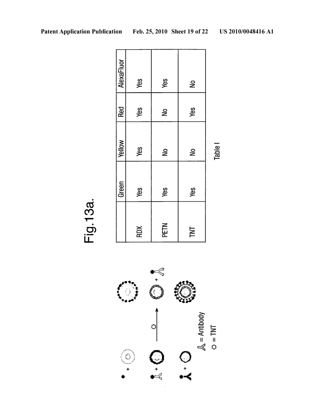 ENCODED MICROSPHERE - diagram, schematic, and image 20