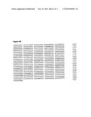 NOVEL BACILLUS 029cel CELLULASE diagram and image