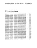 NOVEL BACILLUS 029cel CELLULASE diagram and image