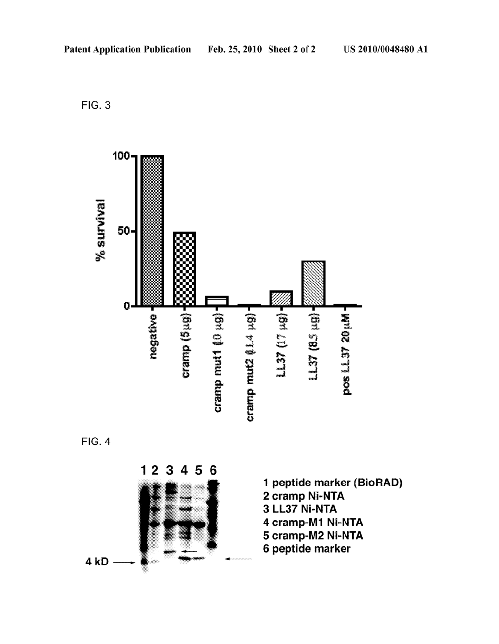 PRODUCTION OF ANTI-MICROBIAL PEPTIDES - diagram, schematic, and image 03