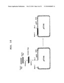 NOVEL CELL PENETRATING PEPTIDE diagram and image