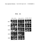 NOVEL CELL PENETRATING PEPTIDE diagram and image