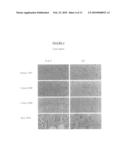 Compounds, Compositions and Methods for Treating Hormone-Dependent Maladies diagram and image