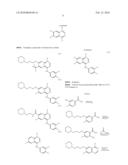 Heterocyclic N-Oxides as Hypoxic Selective Protein Kinase Inhibitors diagram and image