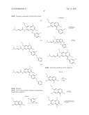Heterocyclic N-Oxides as Hypoxic Selective Protein Kinase Inhibitors diagram and image