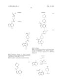 Heterocyclic N-Oxides as Hypoxic Selective Protein Kinase Inhibitors diagram and image