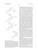 Heterocyclic N-Oxides as Hypoxic Selective Protein Kinase Inhibitors diagram and image