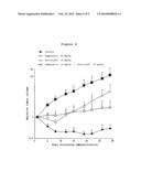 COMPOSITION FOR TREATMENT OF UNDIFFERENTIATED GASTRIC CANCER diagram and image