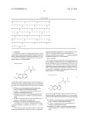 COMPOSITION FOR TREATMENT OF UNDIFFERENTIATED GASTRIC CANCER diagram and image