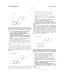 COMPOSITION FOR TREATMENT OF UNDIFFERENTIATED GASTRIC CANCER diagram and image