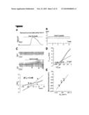 TWO PORE CHANNELS AS A THERAPEUTIC TARGET TO PROTECT AGAINST MYOCARDIAL ISCHEMIA AND AS AN ADJUVANT IN CARDIAC SURGERY diagram and image