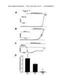 TWO PORE CHANNELS AS A THERAPEUTIC TARGET TO PROTECT AGAINST MYOCARDIAL ISCHEMIA AND AS AN ADJUVANT IN CARDIAC SURGERY diagram and image