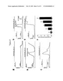 TWO PORE CHANNELS AS A THERAPEUTIC TARGET TO PROTECT AGAINST MYOCARDIAL ISCHEMIA AND AS AN ADJUVANT IN CARDIAC SURGERY diagram and image