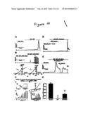 TWO PORE CHANNELS AS A THERAPEUTIC TARGET TO PROTECT AGAINST MYOCARDIAL ISCHEMIA AND AS AN ADJUVANT IN CARDIAC SURGERY diagram and image