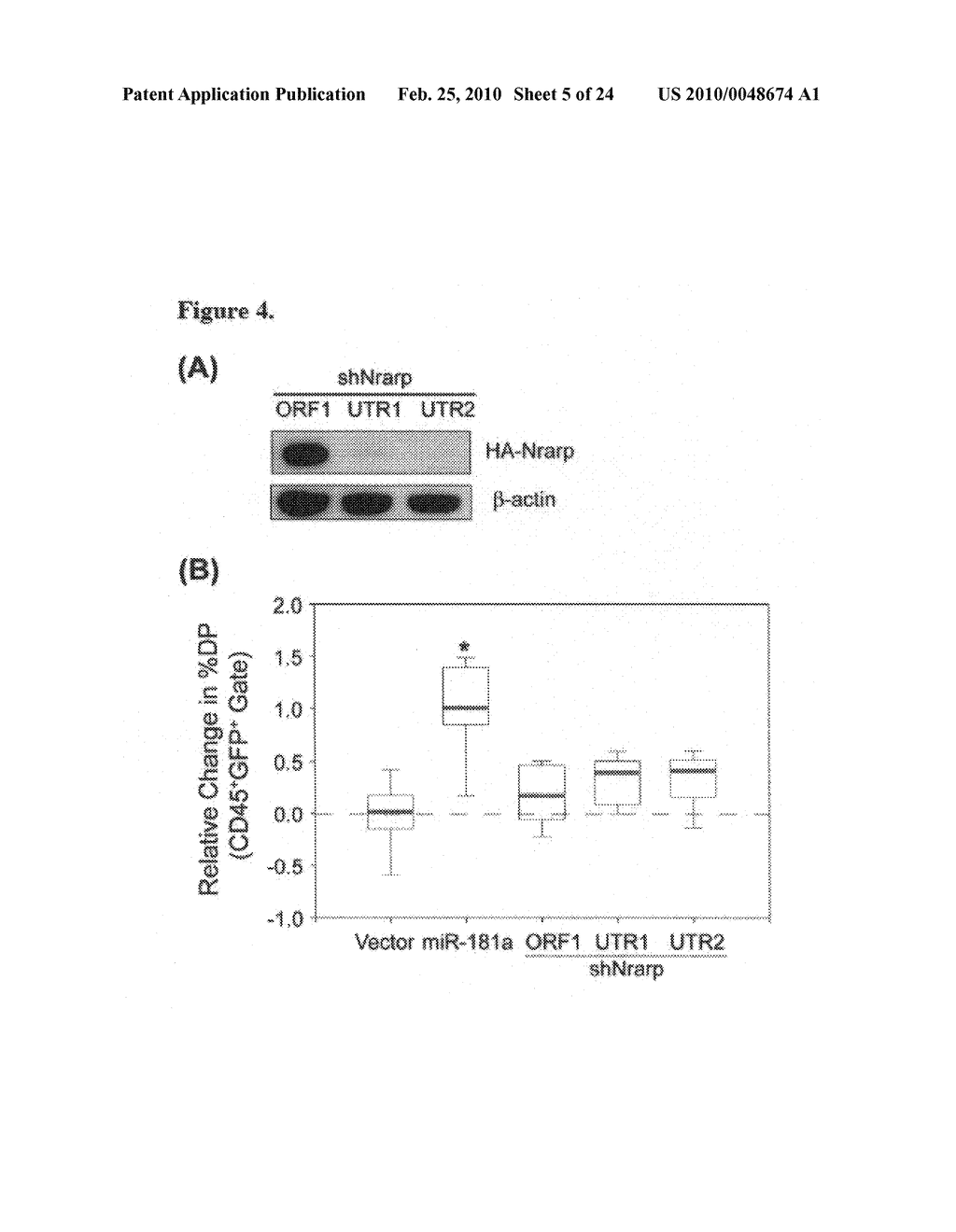 Role of miRNA in T cell leukemia - diagram, schematic, and image 06