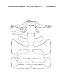 Biosynthetic Polypeptides Utilizing Non-Naturally Encoded Amino Acids diagram and image