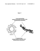 Biosynthetic Polypeptides Utilizing Non-Naturally Encoded Amino Acids diagram and image