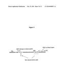 Biosynthetic Polypeptides Utilizing Non-Naturally Encoded Amino Acids diagram and image