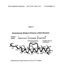 Biosynthetic Polypeptides Utilizing Non-Naturally Encoded Amino Acids diagram and image