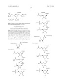 Novobiocin Analogues as Anticancer Agents diagram and image