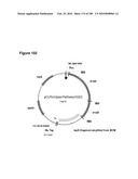 COMPOSITIONS AND METHODS FOR PRODUCING ISOPRENE FREE OF C5 HYDROCARBONS UNDER DECOUPLING CONDITIONS AND/OR SAFE OPERATING RANGES diagram and image