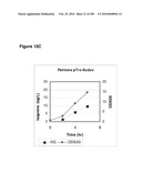 COMPOSITIONS AND METHODS FOR PRODUCING ISOPRENE FREE OF C5 HYDROCARBONS UNDER DECOUPLING CONDITIONS AND/OR SAFE OPERATING RANGES diagram and image