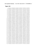 COMPOSITIONS AND METHODS FOR PRODUCING ISOPRENE FREE OF C5 HYDROCARBONS UNDER DECOUPLING CONDITIONS AND/OR SAFE OPERATING RANGES diagram and image