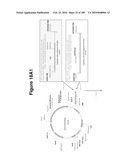 COMPOSITIONS AND METHODS FOR PRODUCING ISOPRENE FREE OF C5 HYDROCARBONS UNDER DECOUPLING CONDITIONS AND/OR SAFE OPERATING RANGES diagram and image