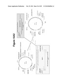 COMPOSITIONS AND METHODS FOR PRODUCING ISOPRENE FREE OF C5 HYDROCARBONS UNDER DECOUPLING CONDITIONS AND/OR SAFE OPERATING RANGES diagram and image