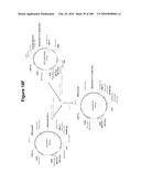 COMPOSITIONS AND METHODS FOR PRODUCING ISOPRENE FREE OF C5 HYDROCARBONS UNDER DECOUPLING CONDITIONS AND/OR SAFE OPERATING RANGES diagram and image