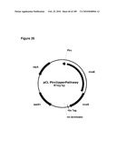 COMPOSITIONS AND METHODS FOR PRODUCING ISOPRENE FREE OF C5 HYDROCARBONS UNDER DECOUPLING CONDITIONS AND/OR SAFE OPERATING RANGES diagram and image