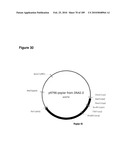 COMPOSITIONS AND METHODS FOR PRODUCING ISOPRENE FREE OF C5 HYDROCARBONS UNDER DECOUPLING CONDITIONS AND/OR SAFE OPERATING RANGES diagram and image