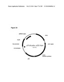 COMPOSITIONS AND METHODS FOR PRODUCING ISOPRENE FREE OF C5 HYDROCARBONS UNDER DECOUPLING CONDITIONS AND/OR SAFE OPERATING RANGES diagram and image