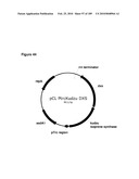 COMPOSITIONS AND METHODS FOR PRODUCING ISOPRENE FREE OF C5 HYDROCARBONS UNDER DECOUPLING CONDITIONS AND/OR SAFE OPERATING RANGES diagram and image