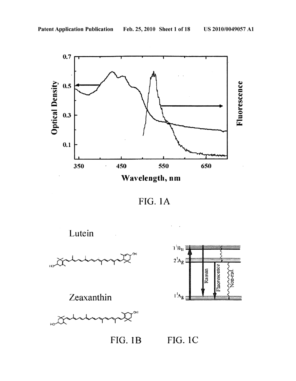 IMAGING OF MACULAR PIGMENT DISTRIBUTIONS - diagram, schematic, and image 02