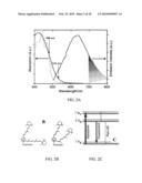 IMAGING OF MACULAR PIGMENT DISTRIBUTIONS diagram and image