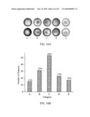 IMAGING OF MACULAR PIGMENT DISTRIBUTIONS diagram and image