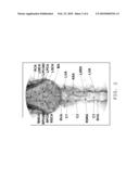 METHOD FOR TESTING AN AGENT FOR STROKES IN HUMANS WITH A NON-HUMAN STROKE MODEL diagram and image