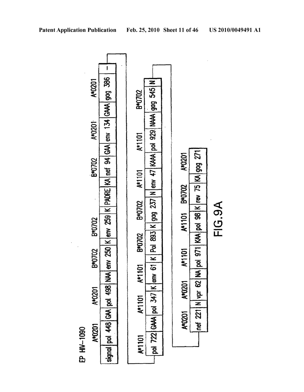 Method and System for Optimizing Minigenes and Peptides Encoded Thereby - diagram, schematic, and image 12