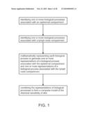 METHOD AND APPARATUS FOR MODELING SKIN SENSITIZATION diagram and image