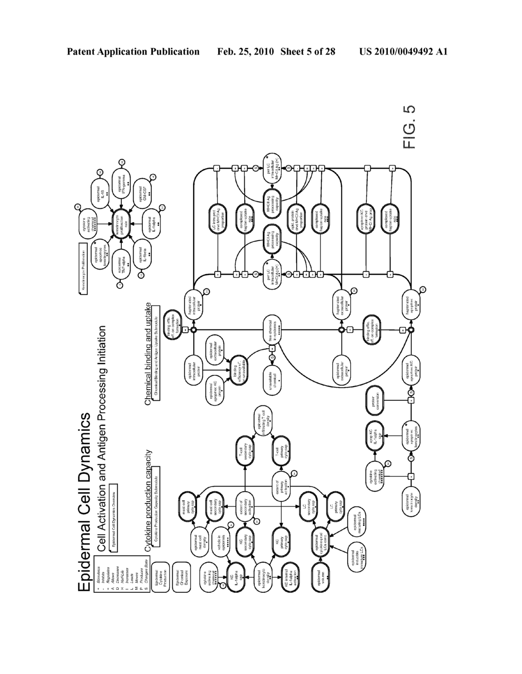 METHOD AND APPARATUS FOR MODELING SKIN SENSITIZATION - diagram, schematic, and image 06