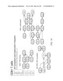 METHOD AND APPARATUS FOR MODELING SKIN SENSITIZATION diagram and image