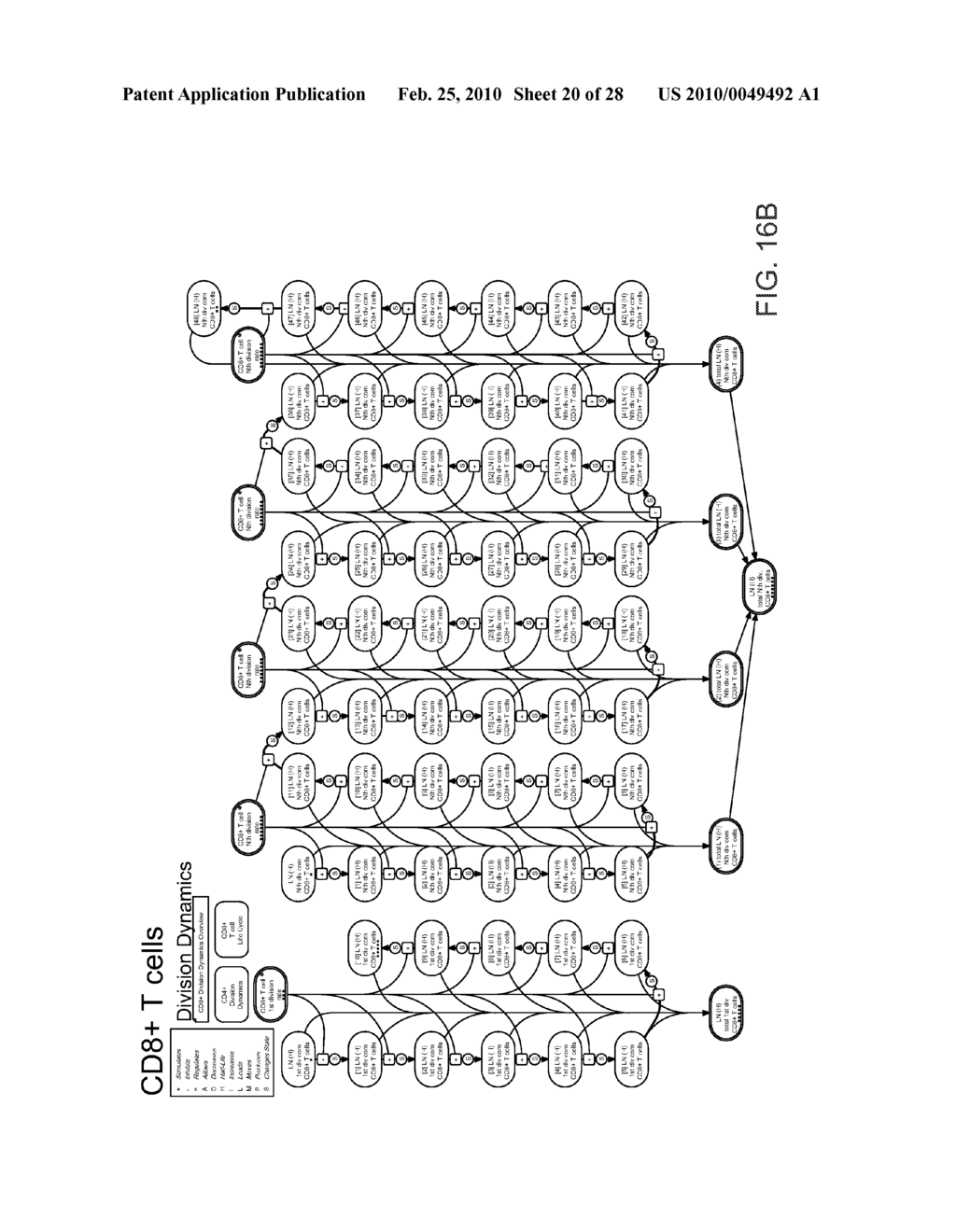 METHOD AND APPARATUS FOR MODELING SKIN SENSITIZATION - diagram, schematic, and image 21