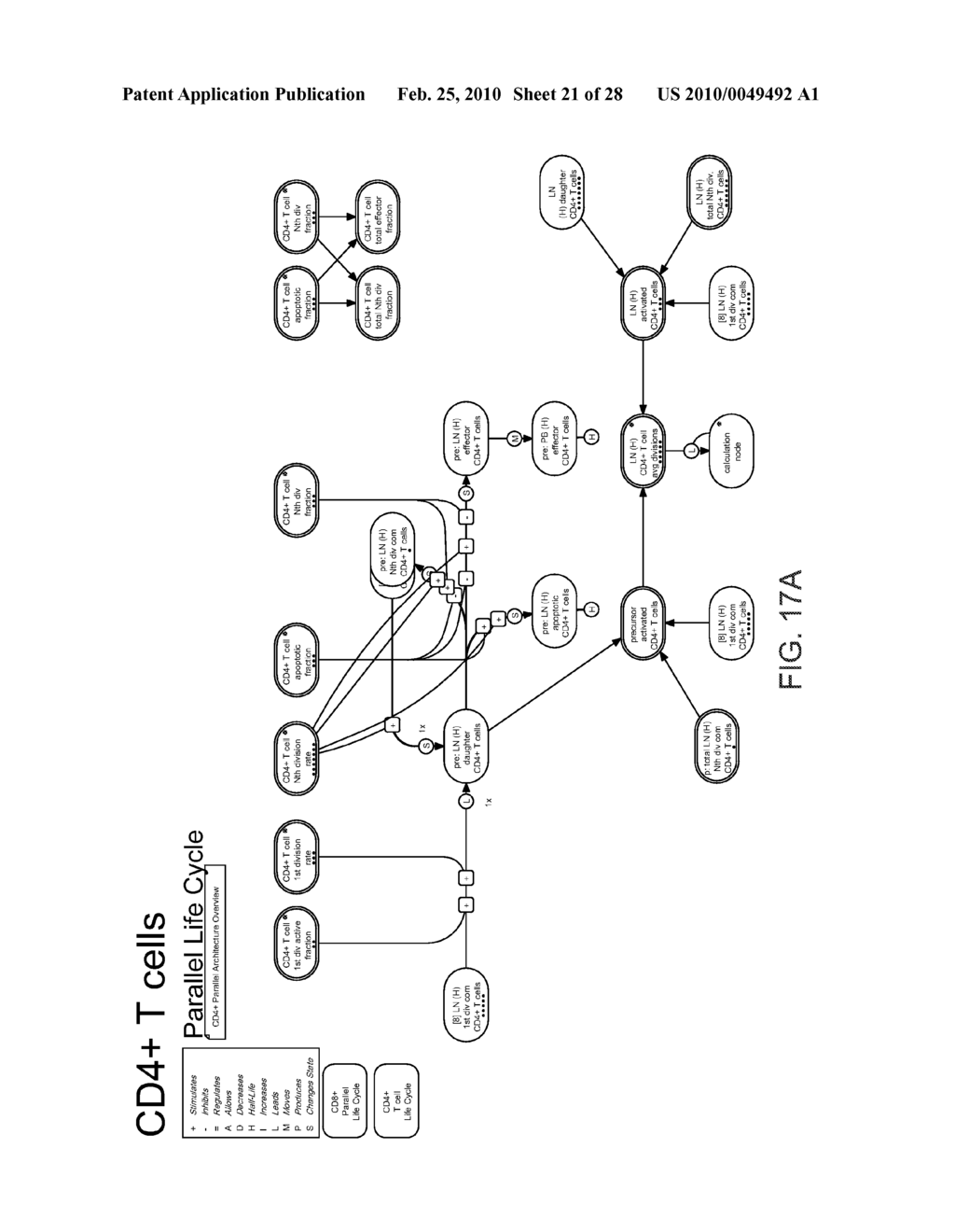 METHOD AND APPARATUS FOR MODELING SKIN SENSITIZATION - diagram, schematic, and image 22