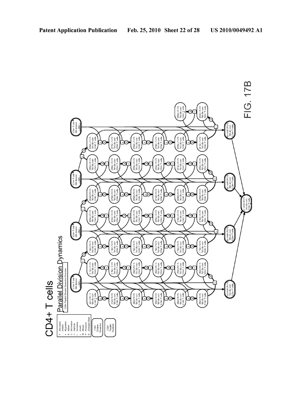 METHOD AND APPARATUS FOR MODELING SKIN SENSITIZATION - diagram, schematic, and image 23