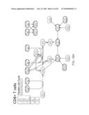 METHOD AND APPARATUS FOR MODELING SKIN SENSITIZATION diagram and image