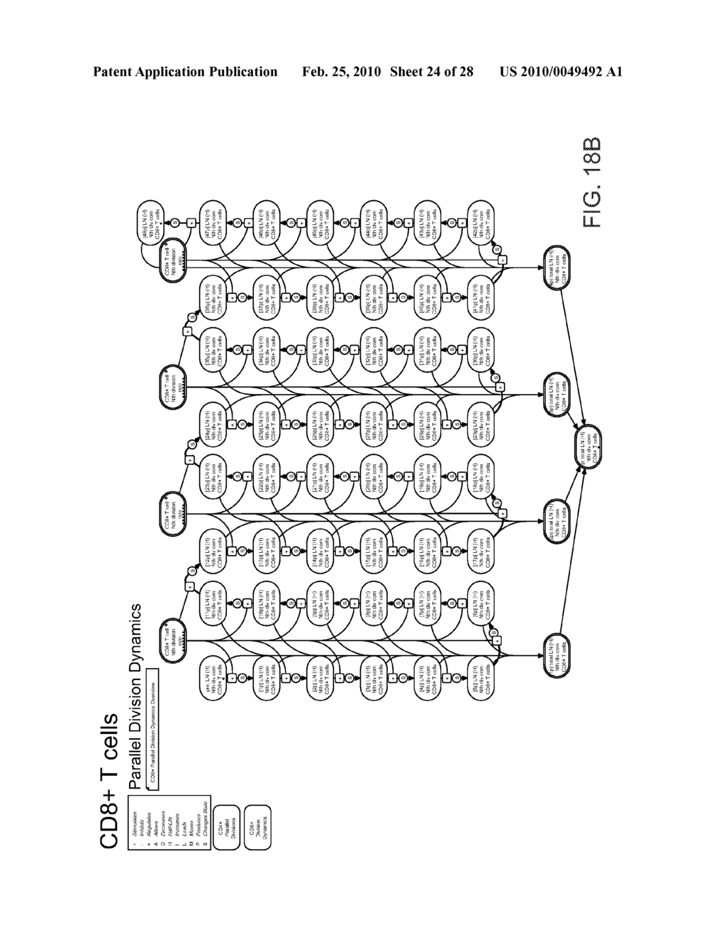 METHOD AND APPARATUS FOR MODELING SKIN SENSITIZATION - diagram, schematic, and image 25