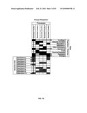 PERFORMANCE OF CONTROL PROCESSES AND MANAGEMENT OF RISK INFORMATION diagram and image